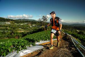 BIB: 9315
                            <button type="button" onclick="openModal(19123330)" class="btn btn-primary btn-sm float-right btn-popup" data-toggle="modal" data-target=".modal-high-quality">
                        <i class="fas fa-shopping-cart"></i> Add to Cart
                    </button>
                                            <button type="button" onclick="isThisMe(19123330, true)" class="btn btn-success btn-sm float-right btn-popup btn-isme hidden" data-toggle="tooltip" data-placement="bottom" title="นี่คือรูปของคุณใช่ไหม คลิกที่นี่เพื่อเอาเข้าอัลบั้ม">
                        <i class="fas fa-plus"></i> Add to album
                    </button>
                    <button type="button" onclick="isThisMe(19123330, false)" class="btn btn-warning btn-sm float-right btn-popup btn-isnotme hidden">
                        <i class="fas fa-ban"></i> Remove from album
                    </button>